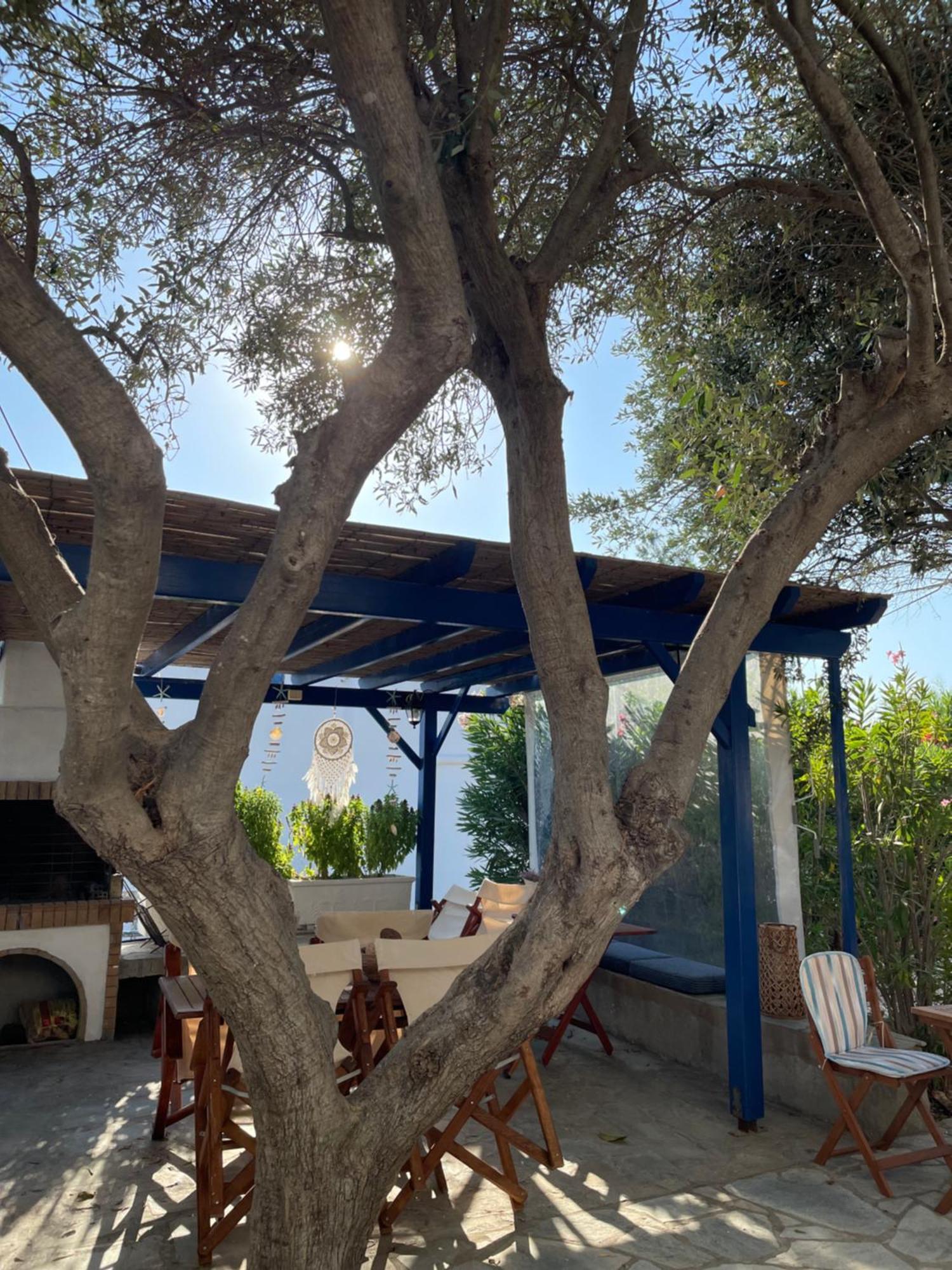 Villa Gelly'S Studios Alikí Екстериор снимка